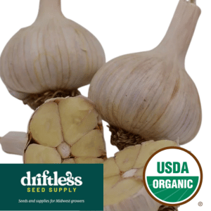 Driftless Seed Supply-Organic German Extra Hardy White Organic Porcelain Garlic