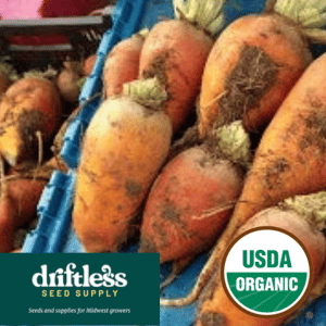 Driftless Seed Supply-Organic Golden Grex Yellow Beet Mix Seeds