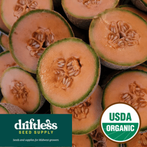 Driftless Seed Supply-Organic Granite State Heirloom Cantaloupe Seeds
