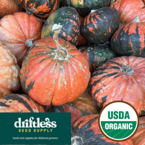 Driftless Seed Supply-Organic Green Gold Winter Squash