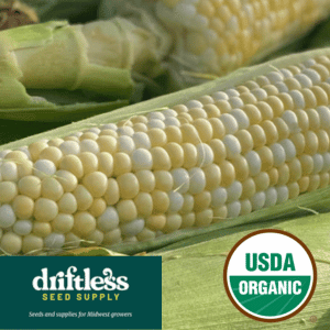 Driftless Seed Supply-Organic Honey Badger Bicolor Sweet Corn Seeds