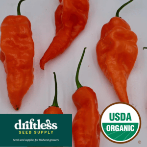 Driftless Seed Supply-OrganicHabanada Heatless Habanero Pepper Seeds