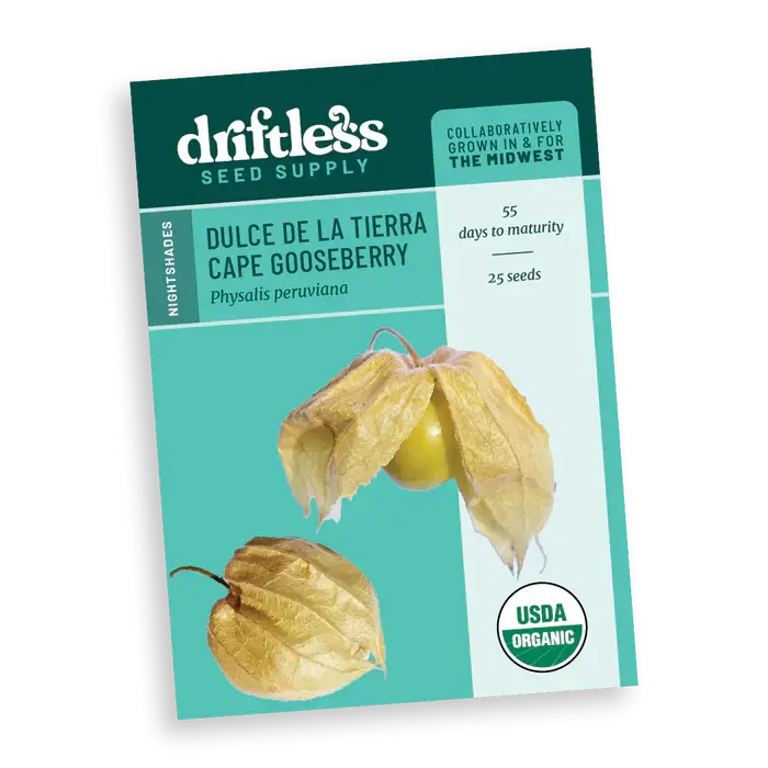 Dulce de la Tierra Cape Gooseberry