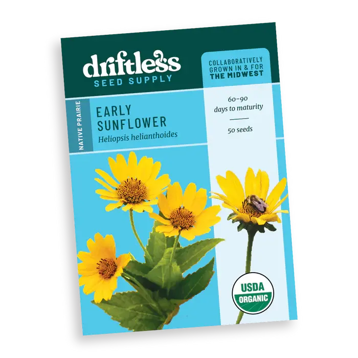 Early Sunflower Native Prairie Forb