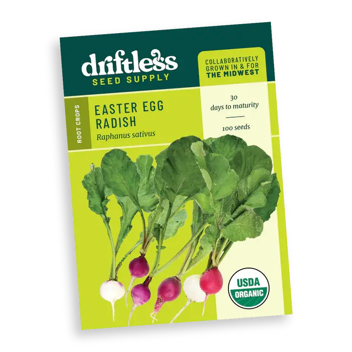 Easter Egg Multicolor Radish