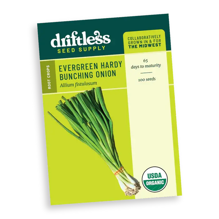 Evergreen Hardy Bunching Onion Scallion