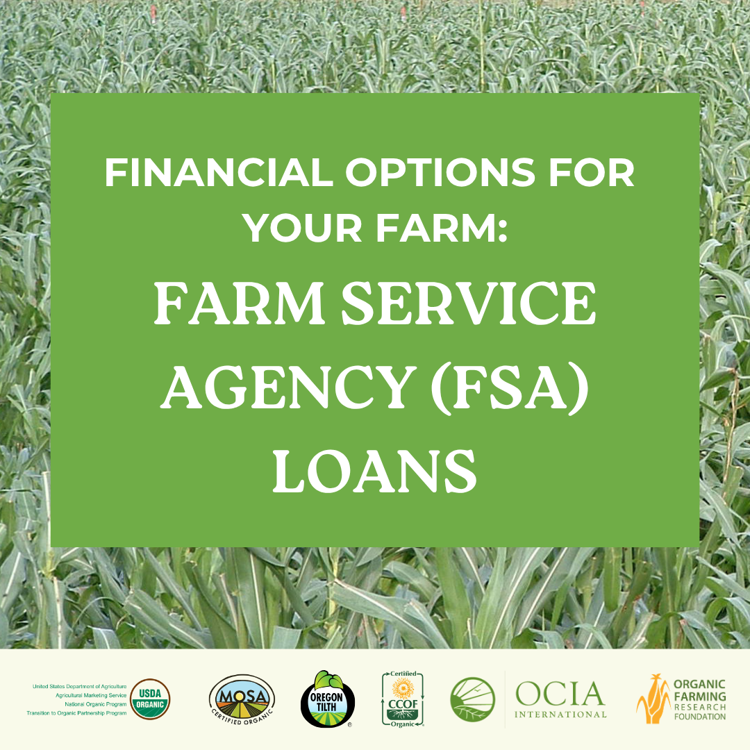 FSA Loan Kit