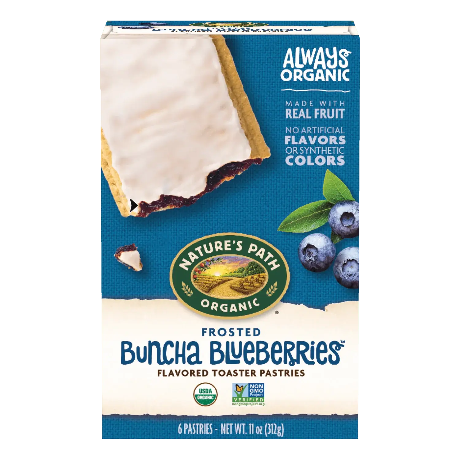 Frosted Buncha Blueberries Toaster Pastries