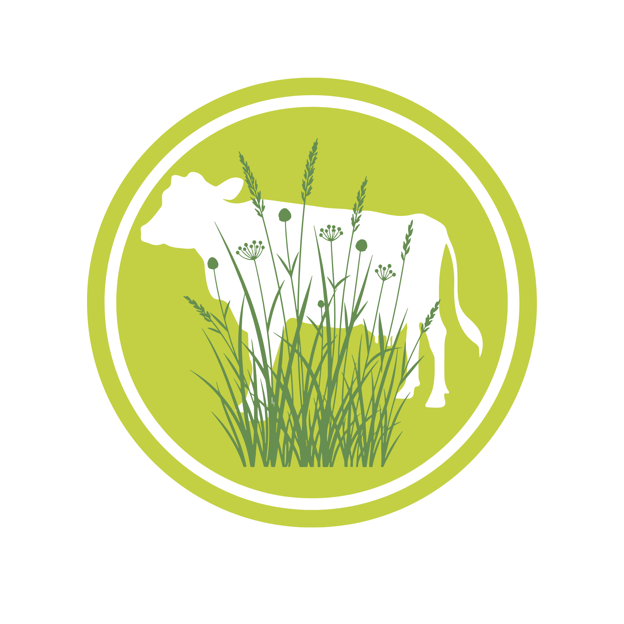 Grass Fed Beef