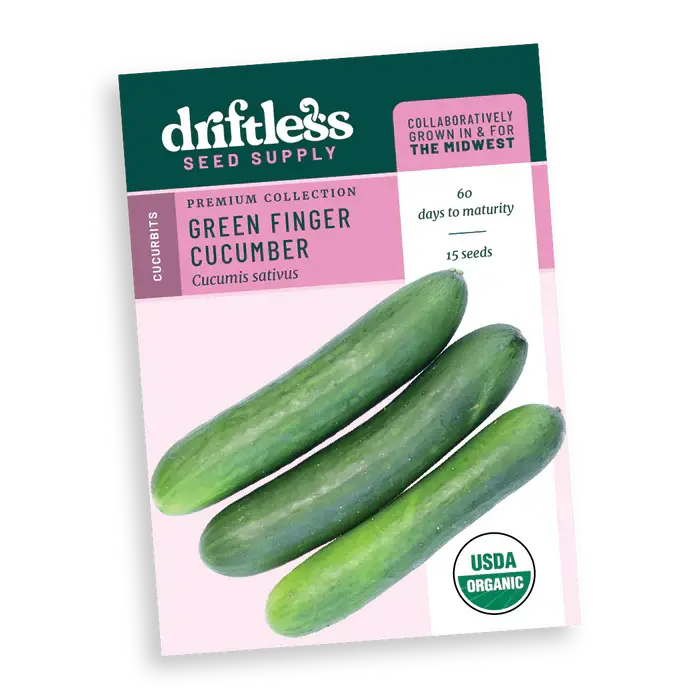 Green Finger Premium Slicer Cucumber
