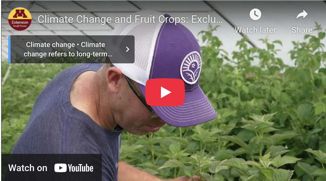 Hail Netting for Apple Orchards
