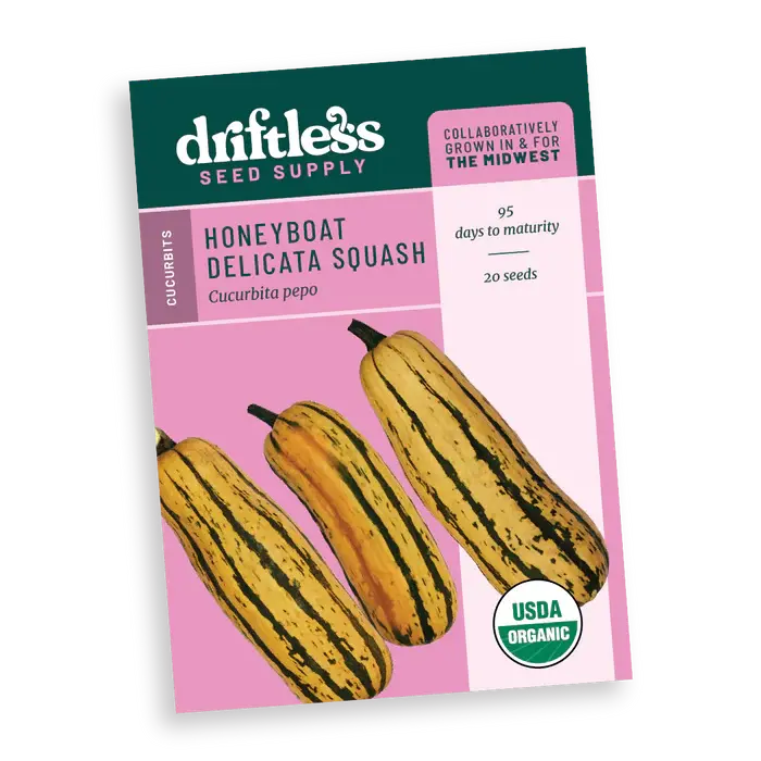 Honey Boat Extra Sweet Delicata