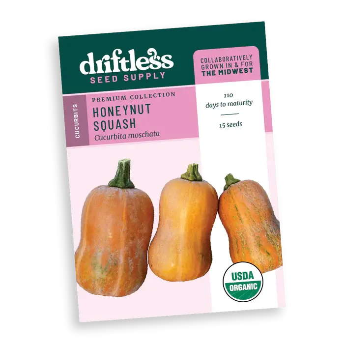 Honeynut Premium Dessert Butternut Squash