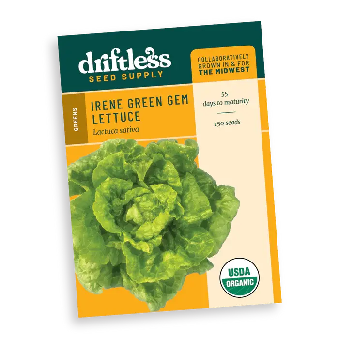 Irene Green Gem - Mini Gem Lettuce