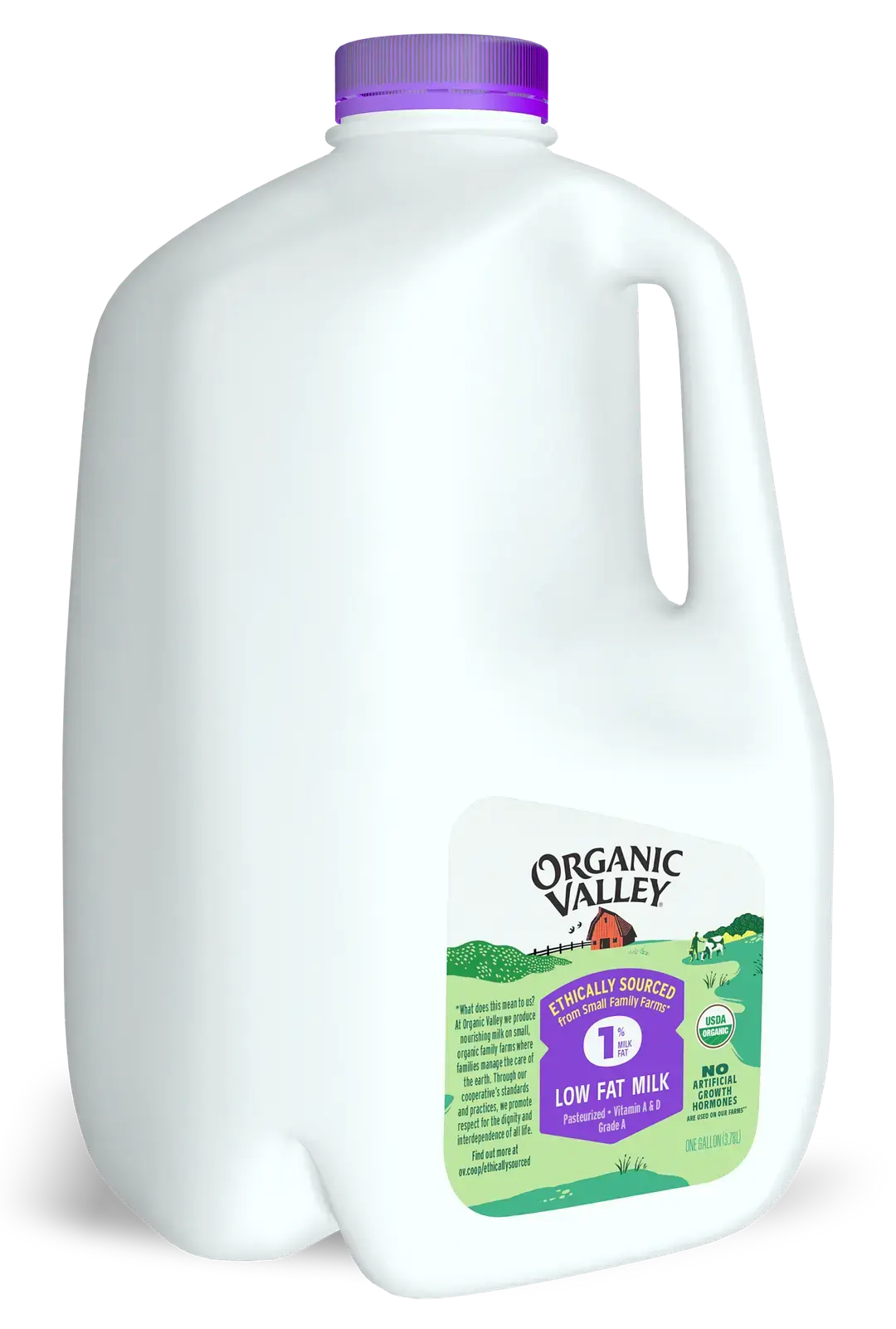 Lowfat 1% Milk, Pasteurized, Gallon