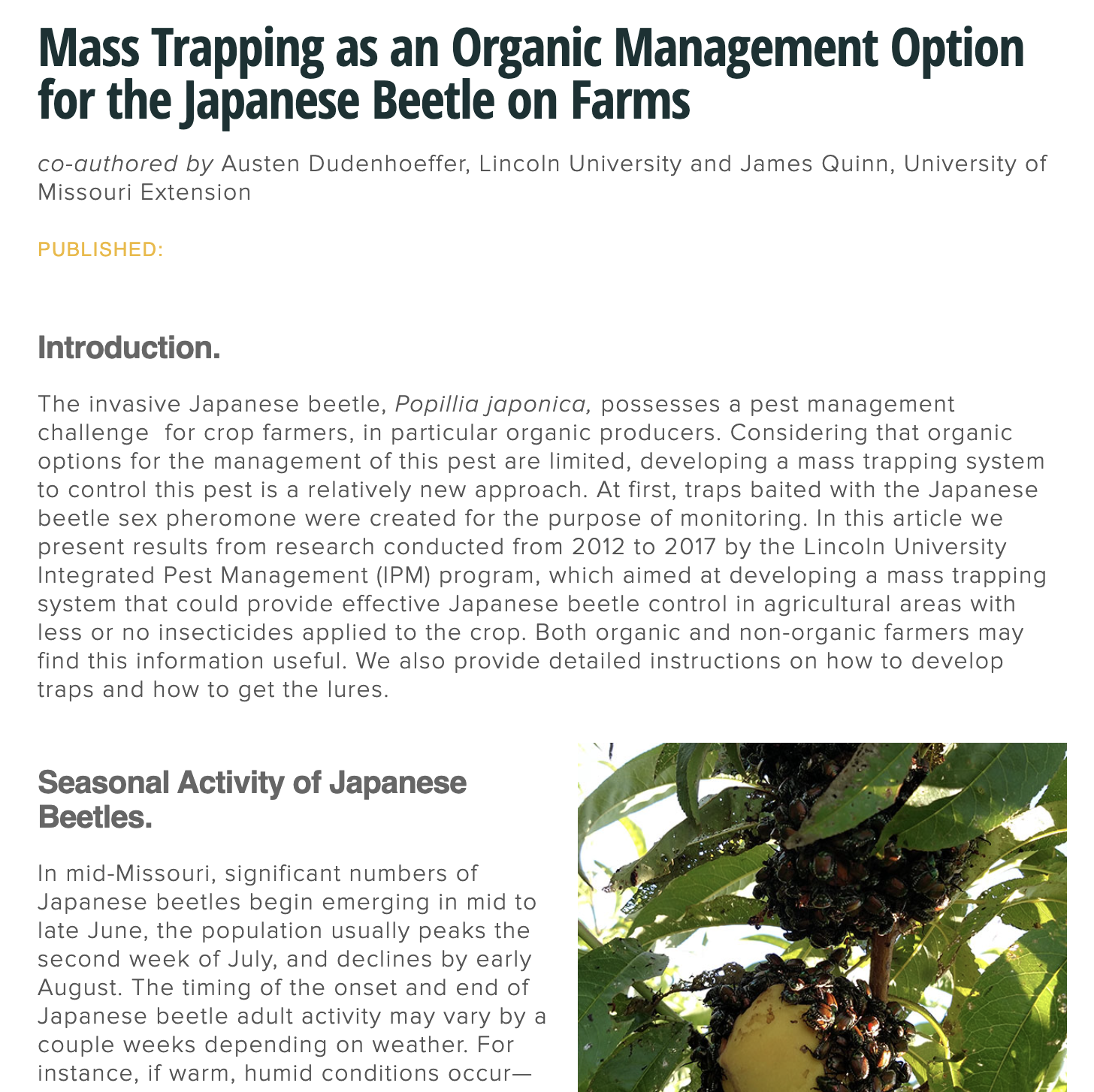 Mass Trapping