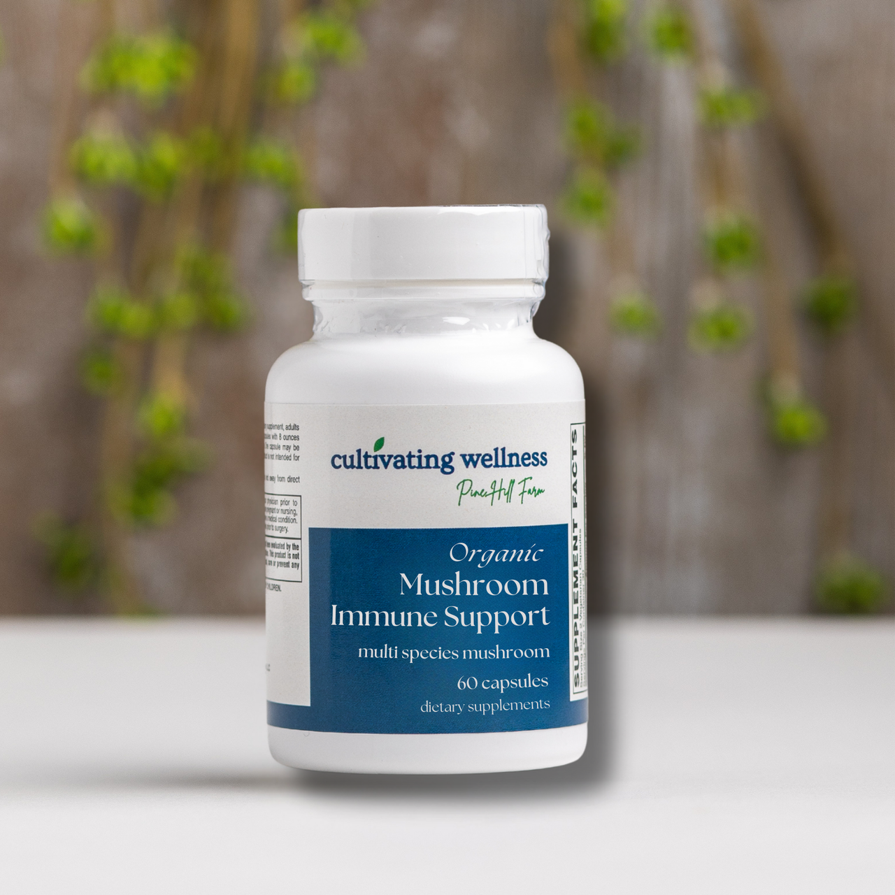 Mushroom Immune Support