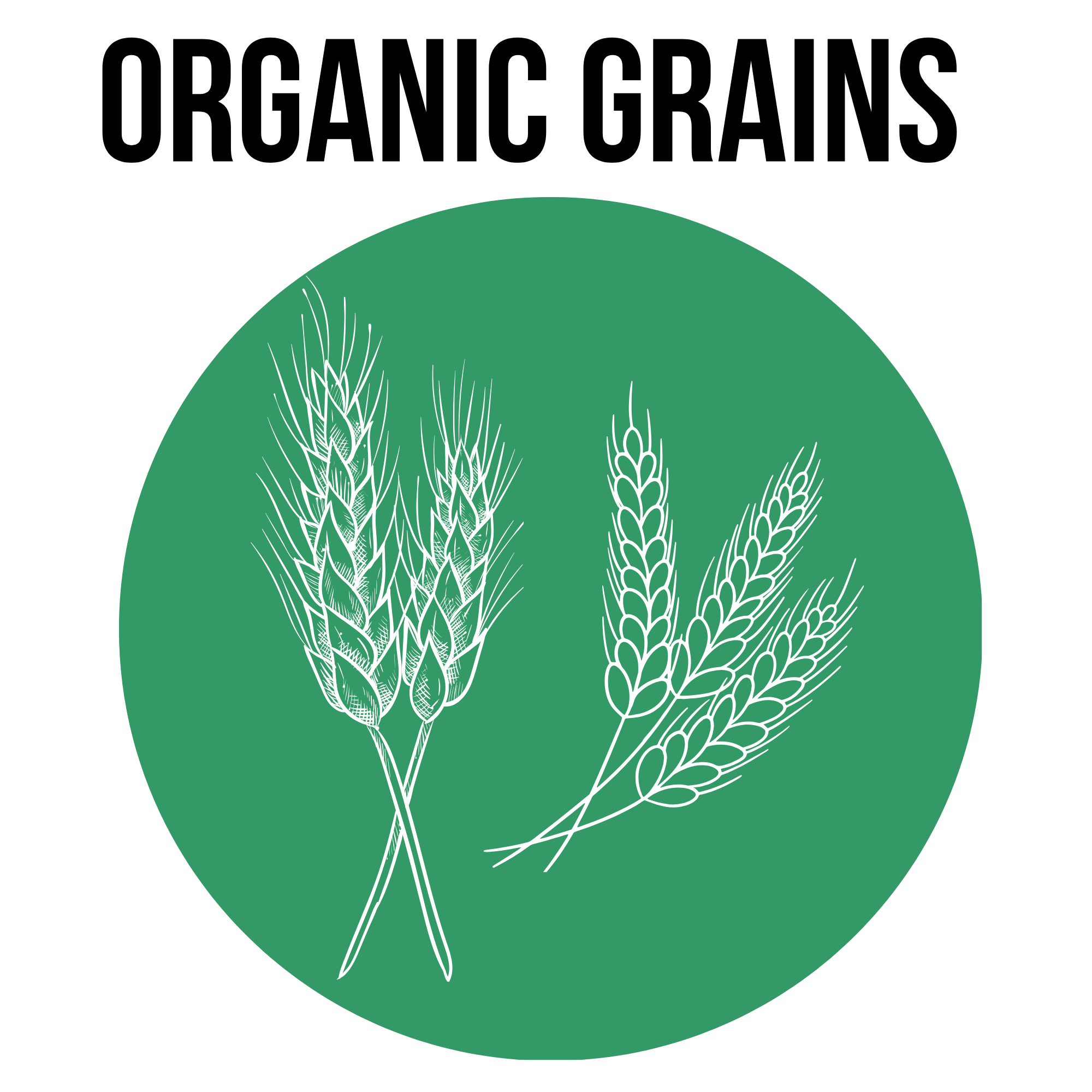 Organic Grains