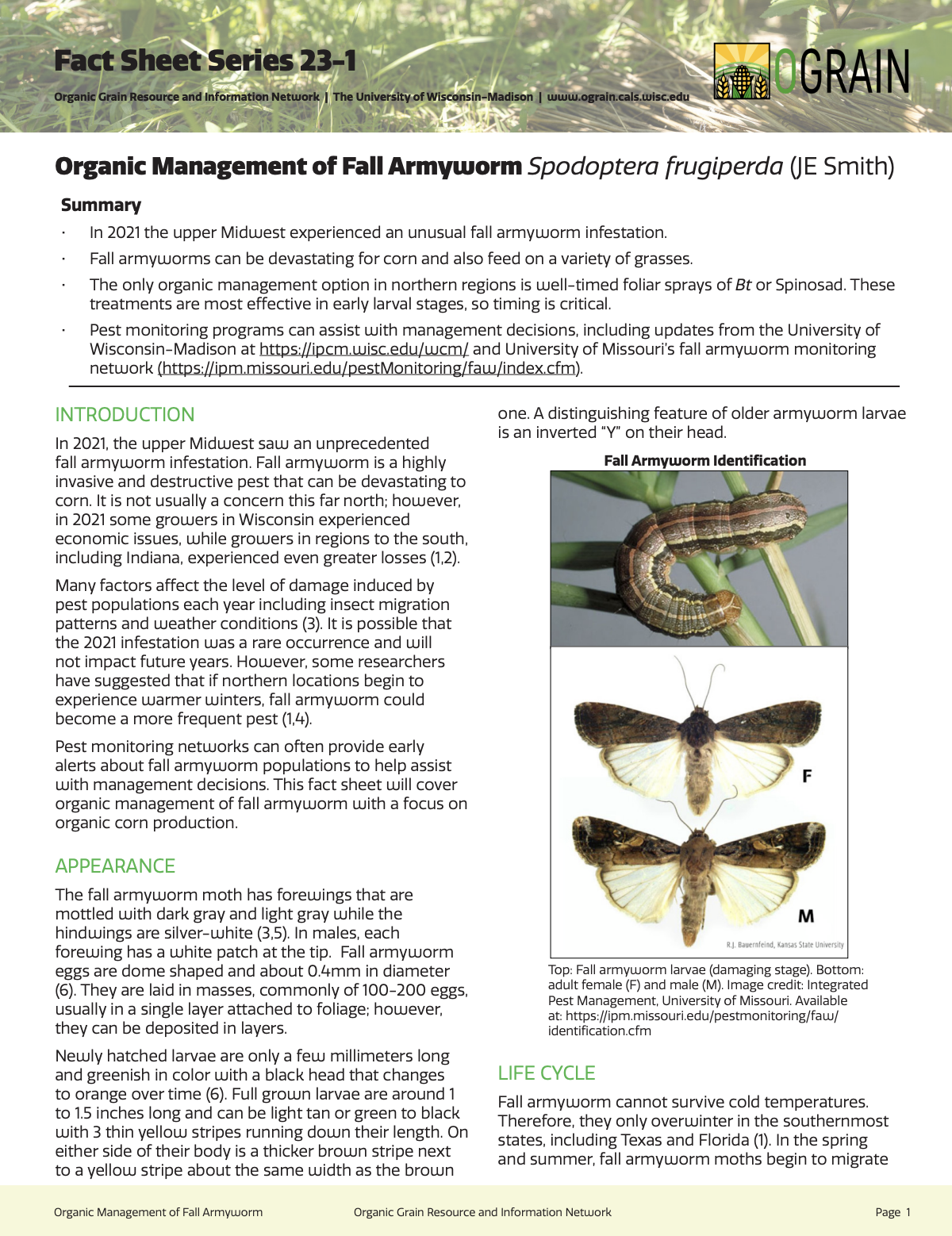 Organic Management of Fall Armyworm