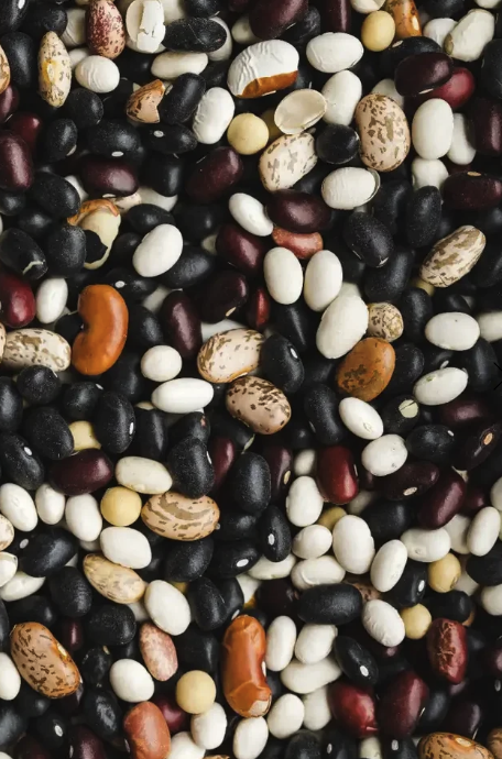 Organic Myriad Mixed Beans