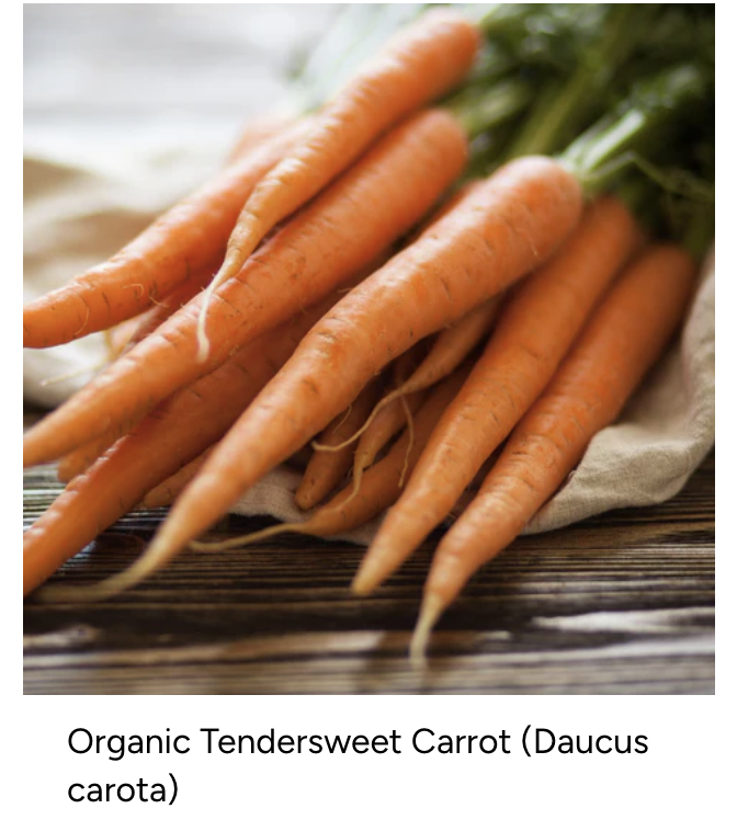 Organic Tendersweet Carrot
