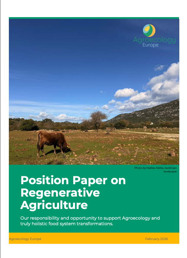 Position paper