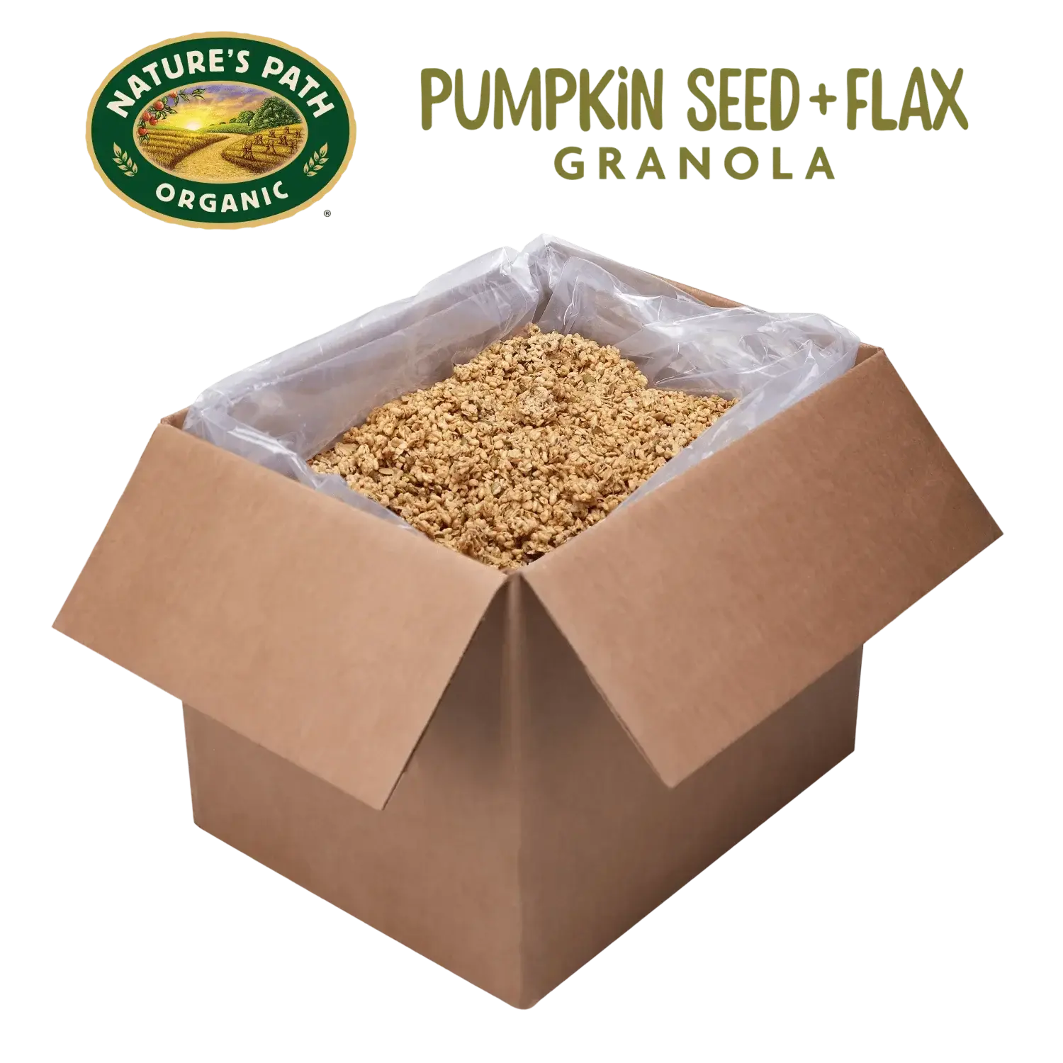 Pumpkin_Seed_plus_Flax_Granola_Bulk_Box_10058449880070-88007U_1