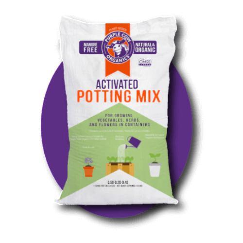 Purple cow Potting Mix