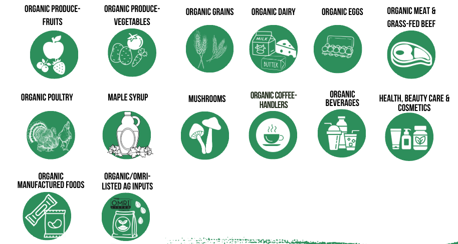 Screenshot 2026-07-17 at 4.25.16 PM