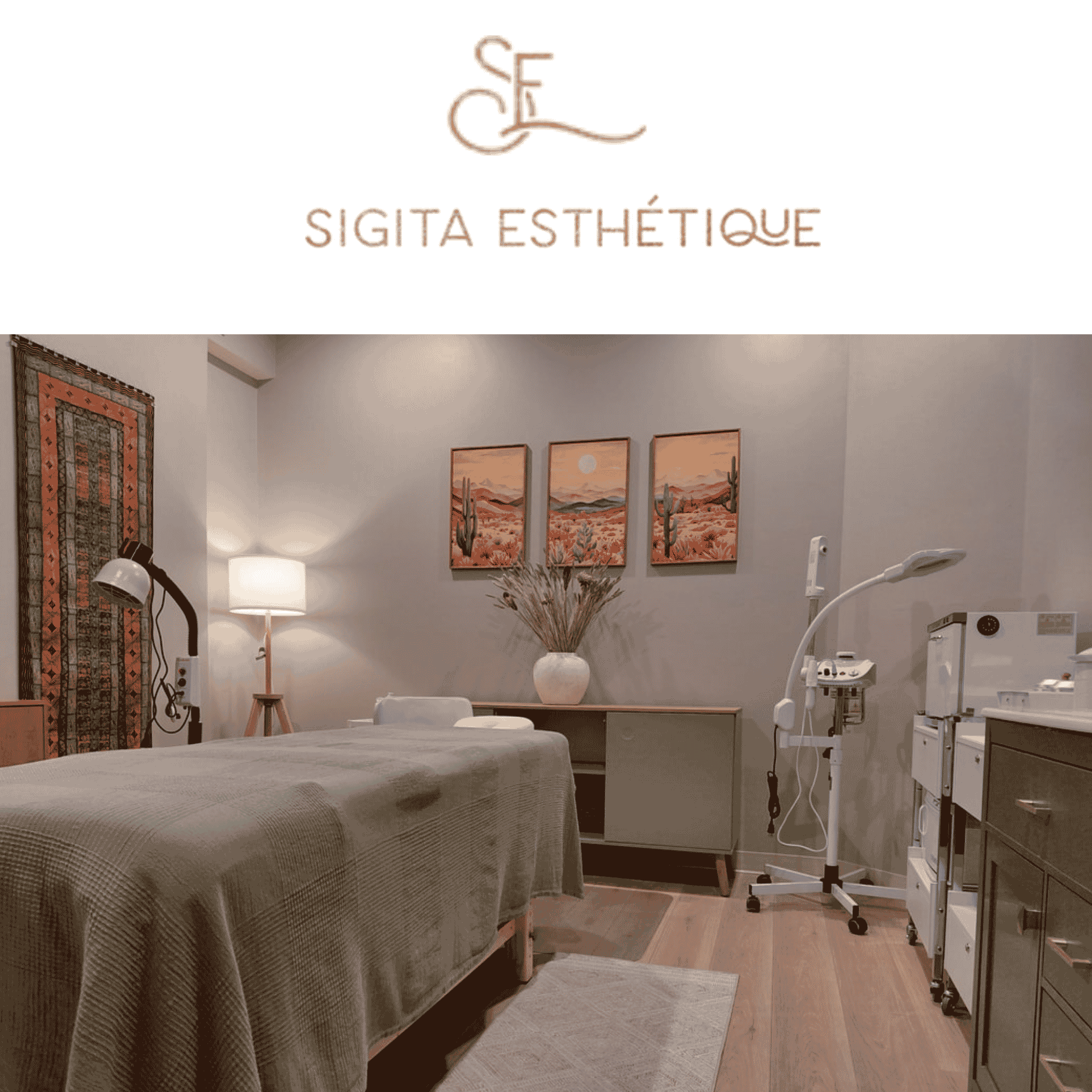 Sigita Esthetique (1)