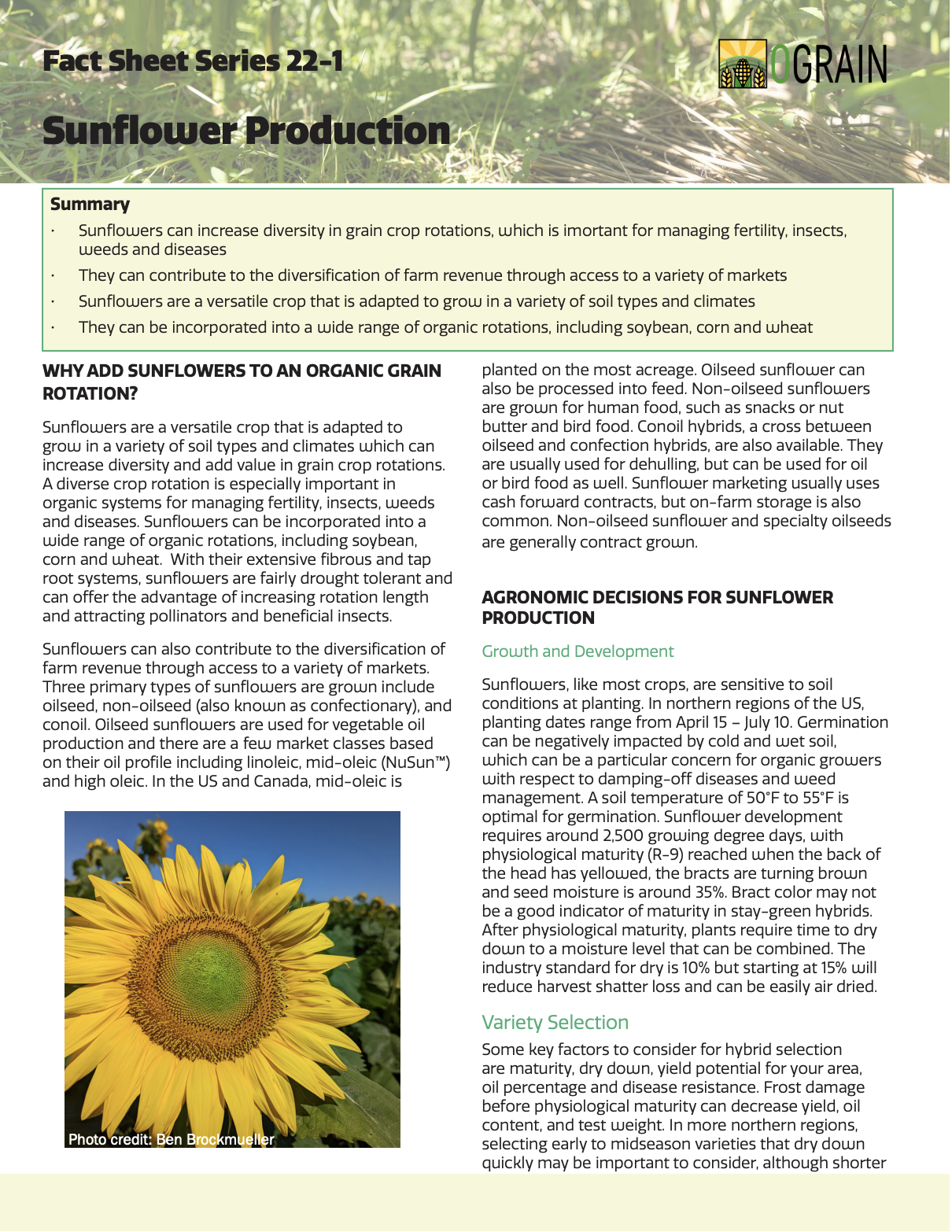 Sunflower Production