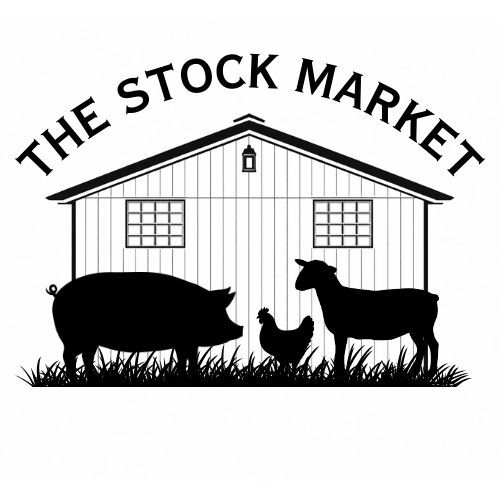 THE STOCK MARKET