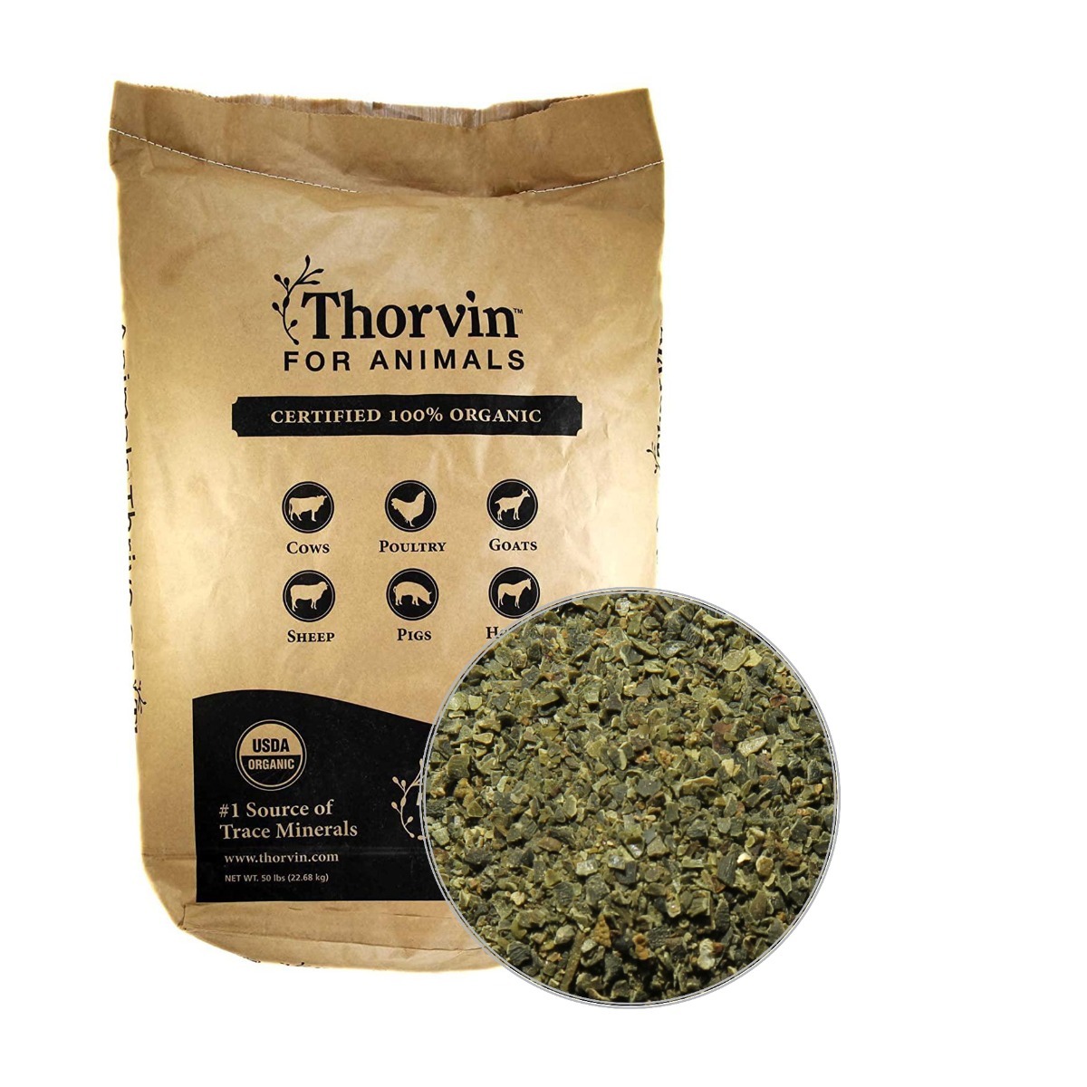Thorvin Kelp