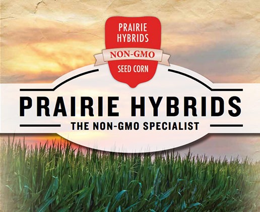 Untitled-1_0000_Prairie-Hybrids-Brochure-516x420