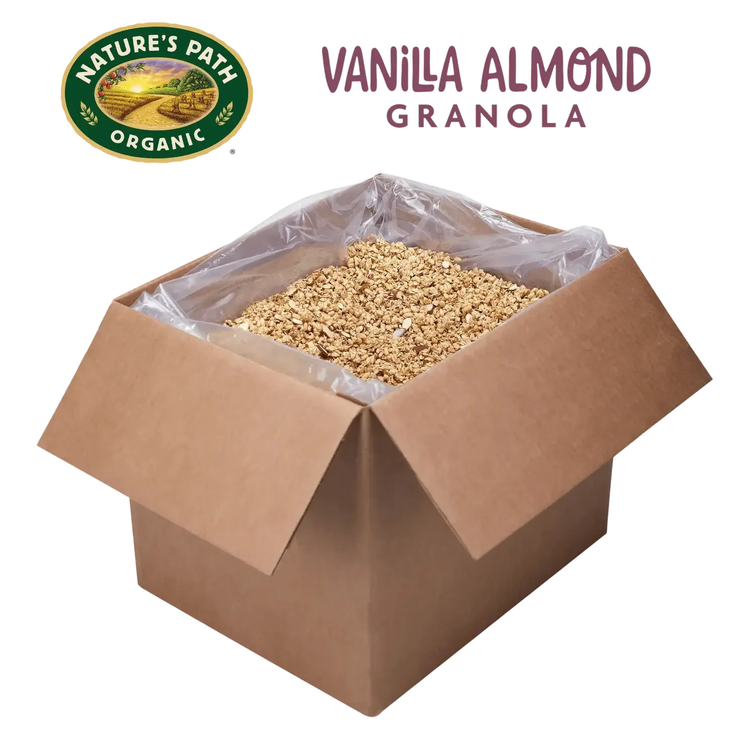 Vanilla_Almond_plus_Flax_Granola_Bulk_Box_10058449880124-88012U_1