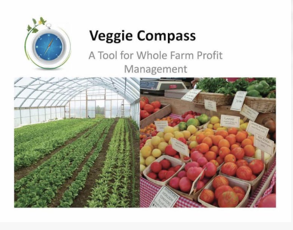 Veggie Compass