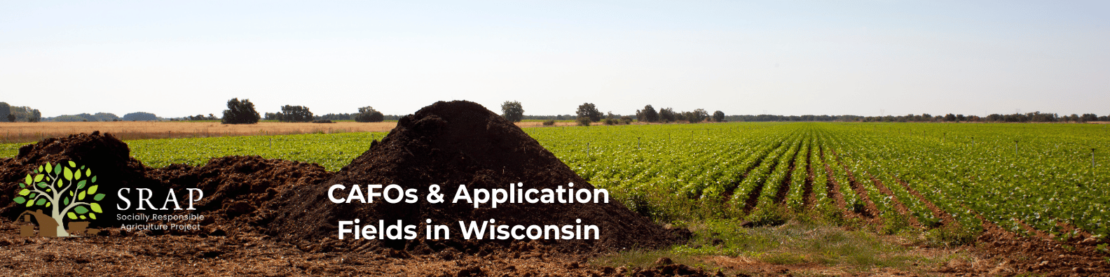 WIsconsin CAFOs & Application Fields
