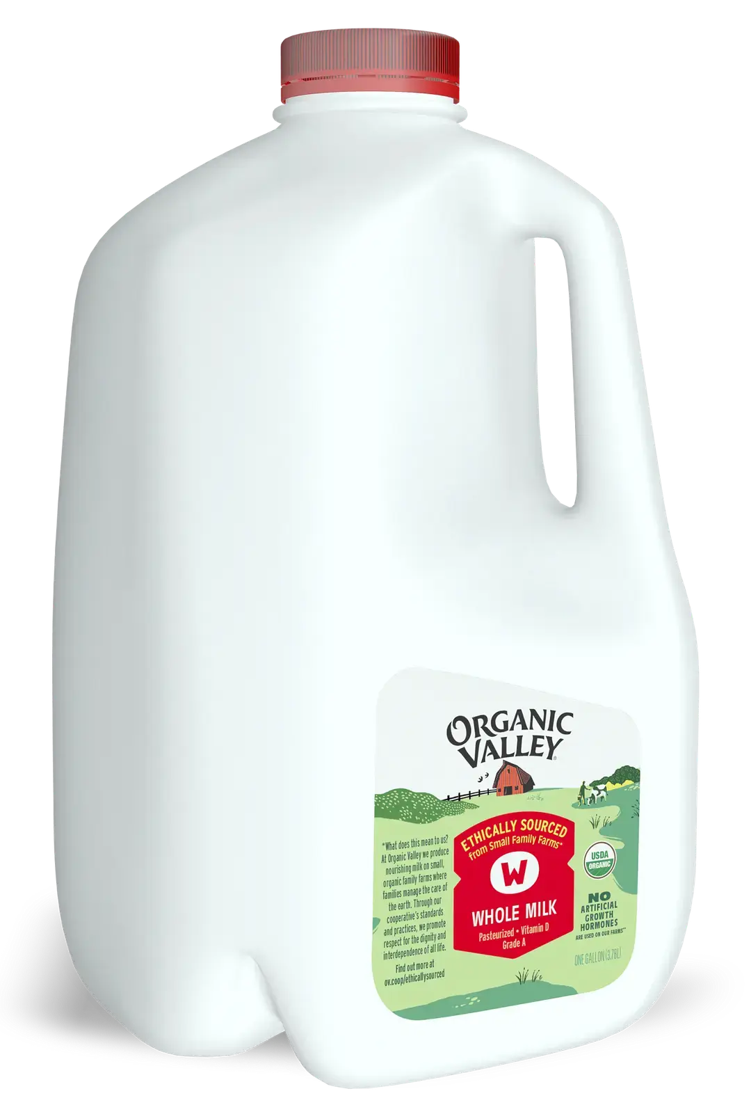 Whole Milk, Pasteurized, Gallon