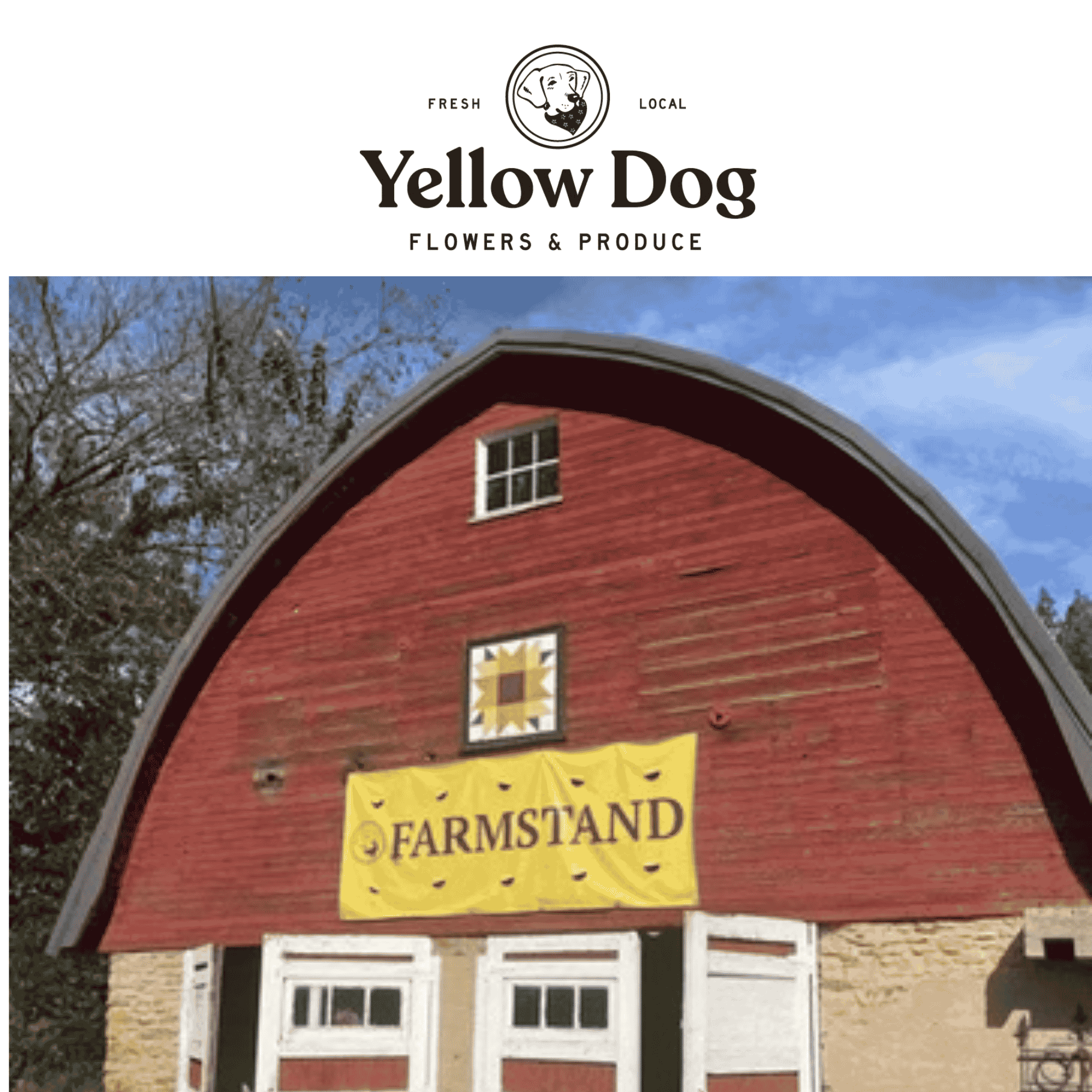 Yellow Dog Farm Stand