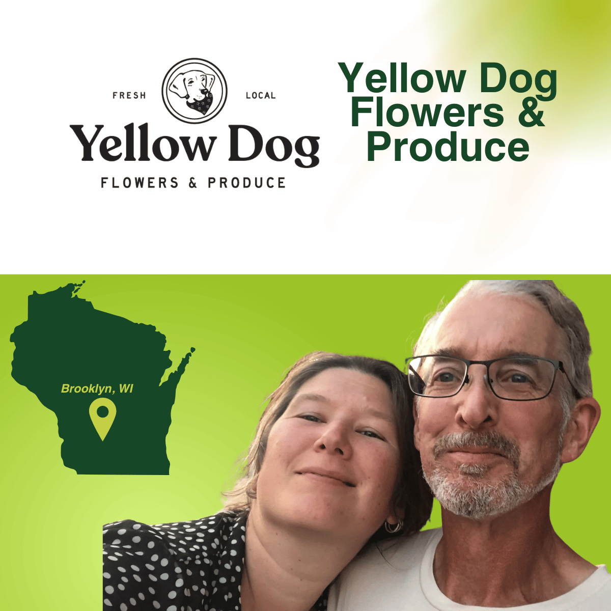 Yellow Dog