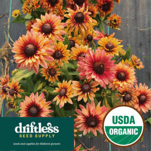 _Driftless Seed Supply-Organic Caramel Mix Rudbeckia Seeds