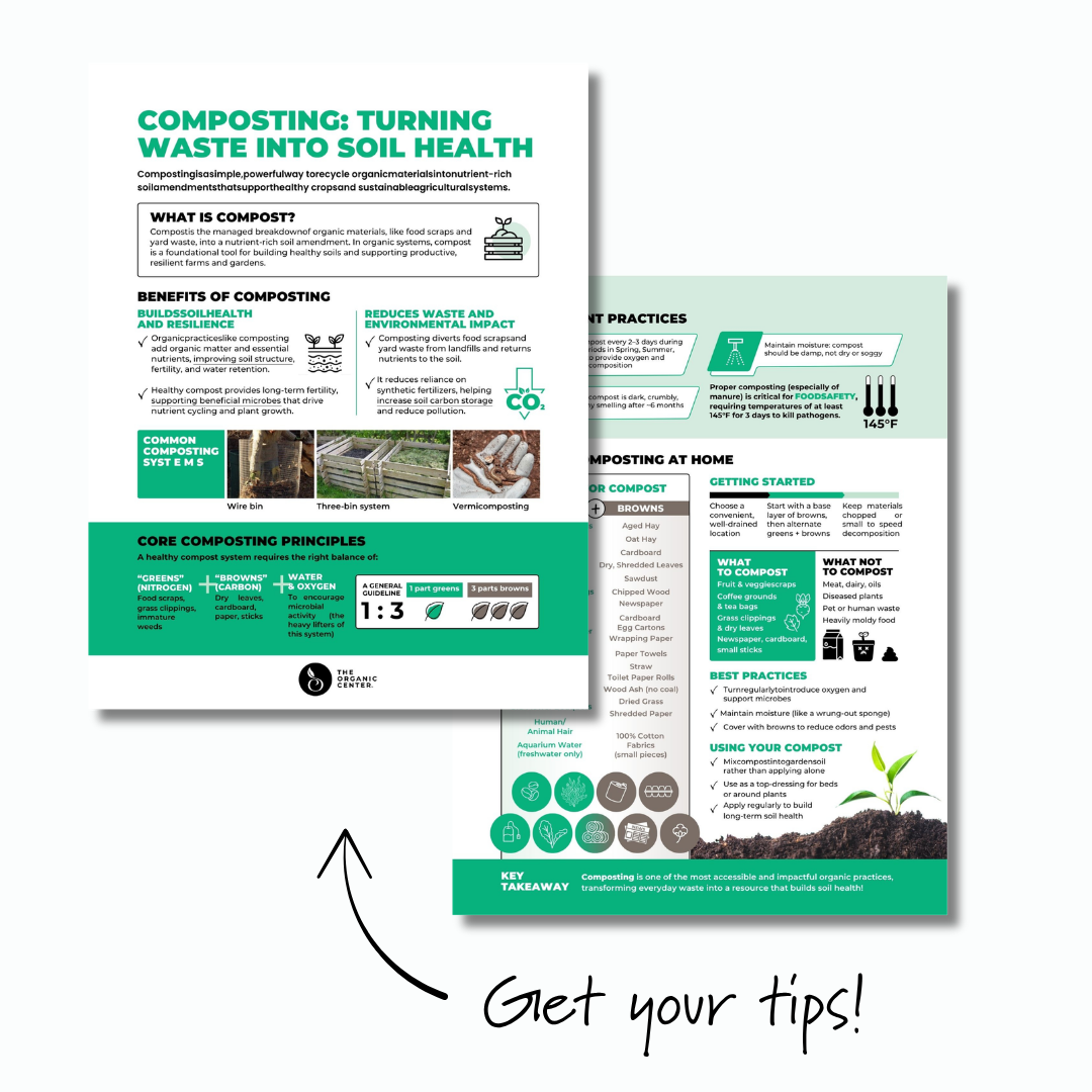 compost_tip_sheet_graphic_-_en