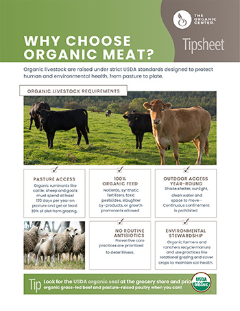 toc_tipsheet_meat_thumbnail