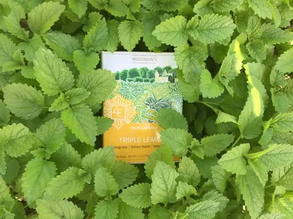 triple-lemon-tea-16-teabags-8415395_grande